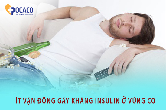 ban-co-biet-nguyen-nhan-gay-khang-insulin-3