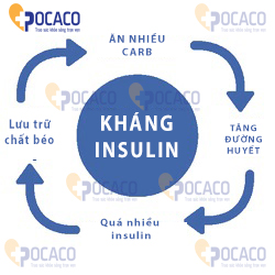 ban-co-biet-nguyen-nhan-gay-khang-insulin-2