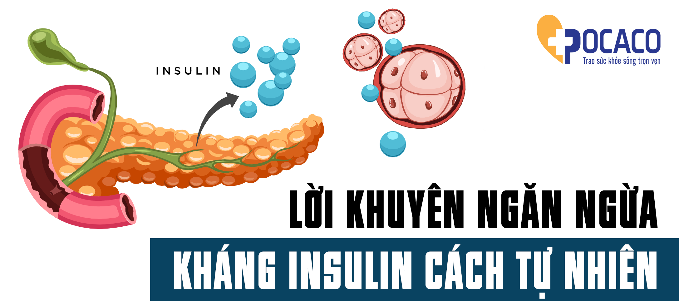 ngan-ngua-tinh-trang-khang-insulin-mot-cach-tu-nhien-1