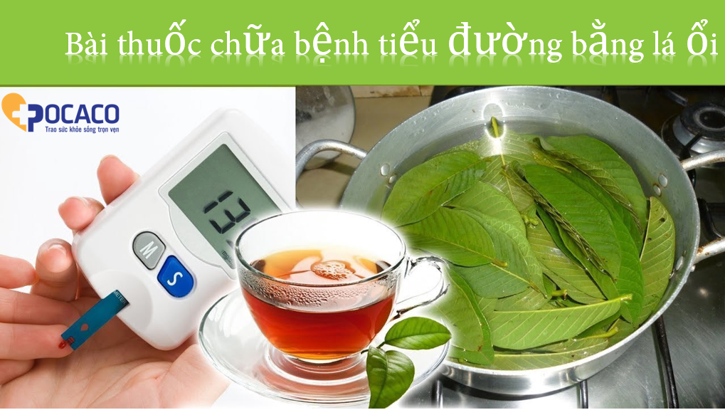 bài thuốc chữa bệnh tiểu đường bằng lá ổi