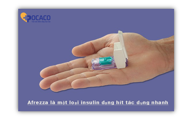 khai-niem-co-ban-ve-insulin