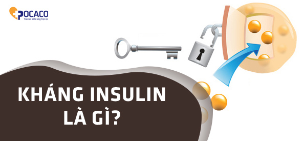 dau-hieu-khang-insulin-2