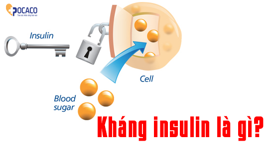 ngan-ngua-tinh-trang-khang-insulin-mot-cach-tu-nhien-2