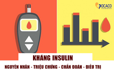 nguyen-nhan-trieu-chung-chan-doan-dieu-tri-khang-insulin-1