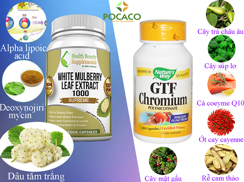 Thảo dược chữa bệnh tiểu đường Thảo dược chữa bệnh tiểu đường