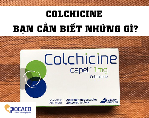 colchicine-doi-voi-benh-gut-2