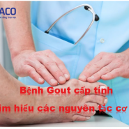 Bệnh Gout cấp tính - Tìm hiểu các nguyên tắc cơ bản