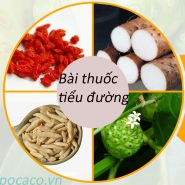 Bài thuốc nào trị bệnh tiểu đường - Hay nhất trong dân gian