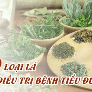 10 loại lá tốt cho việc kiểm soát bệnh tiểu đường