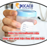 Nhận biết các triệu chứng của suy thận & Cách phòng ngừa suy thận khi mắc bệnh tiểu đường