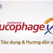 Glucophage® - Tác dụng, Hướng dẫn sử dụng & Những vấn đề liên quan về bệnh tiểu đường