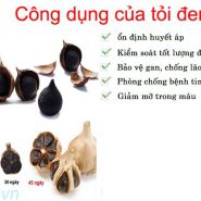 Cách chữa bệnh tiểu đường bằng tỏi đen - Đầy tính khả thi