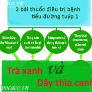 2 cách chữa bệnh tiểu đường tuýp 1 - Dùng cây thuốc nam