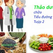 Chữa trị bệnh tiểu đường tuýp 2 bằng thảo dược