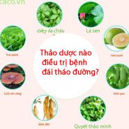 Thảo dược trị bệnh đái tháo đường? Bạn nên biết