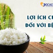 Gạo và bệnh gút: Cách lựa chọn gạo cho bệnh nhân Gút