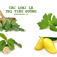 Thuốc dân gian chữa bệnh tiểu đường dùng liên tục giúp phục hồi 