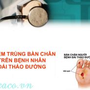 Bệnh đái tháo đường dẫn đến nhiễm trùng- Bệnh lí này diễn ra ntn