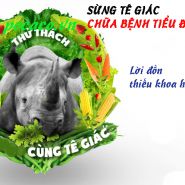 Có nên sử dụng sừng tê giác điều trị bệnh tiểu đường hay không?