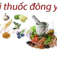 Điều trị bệnh tiểu đường bằng thuốc đông y- Bài thuốc hữu hiệu