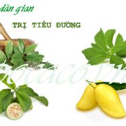 Cách trị bệnh tiểu đường dân gian- Bài thuốc quen thuộc