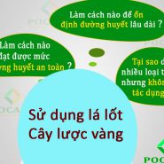 Bạn đã biết có những cây thuốc nam chữa bệnh tiểu đường rất hiệu quả chưa?