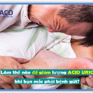 Làm thế nào để giảm lượng ACID URIC khi bạn mắc phải bệnh gút?