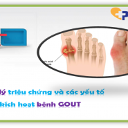 Gout được điều trị như thế nào - Quản lý triệu chứng và các yếu tố kích hoạt 