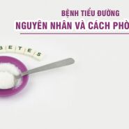 Hiểu biết về nguyên nhân và cách bạn có thể phòng ngừa bệnh tiểu đường